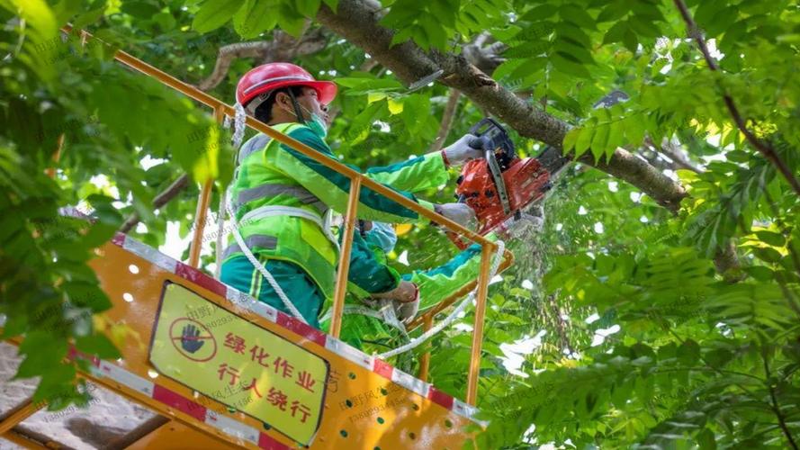 茶陵居然之家三期绿化工程