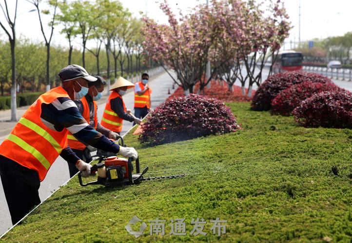 市政道路绿化工程安全管理