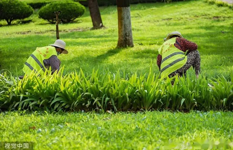 挑战园林管理员面试问题：你能应对吗？