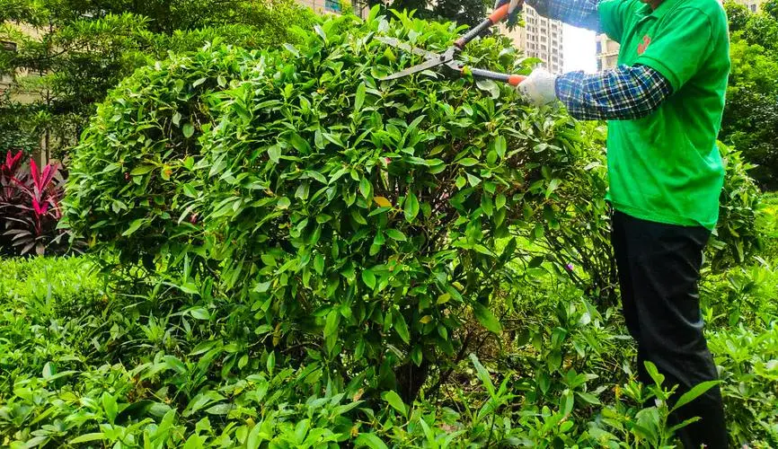 园林景观绿化种植质量控制措施.pptx